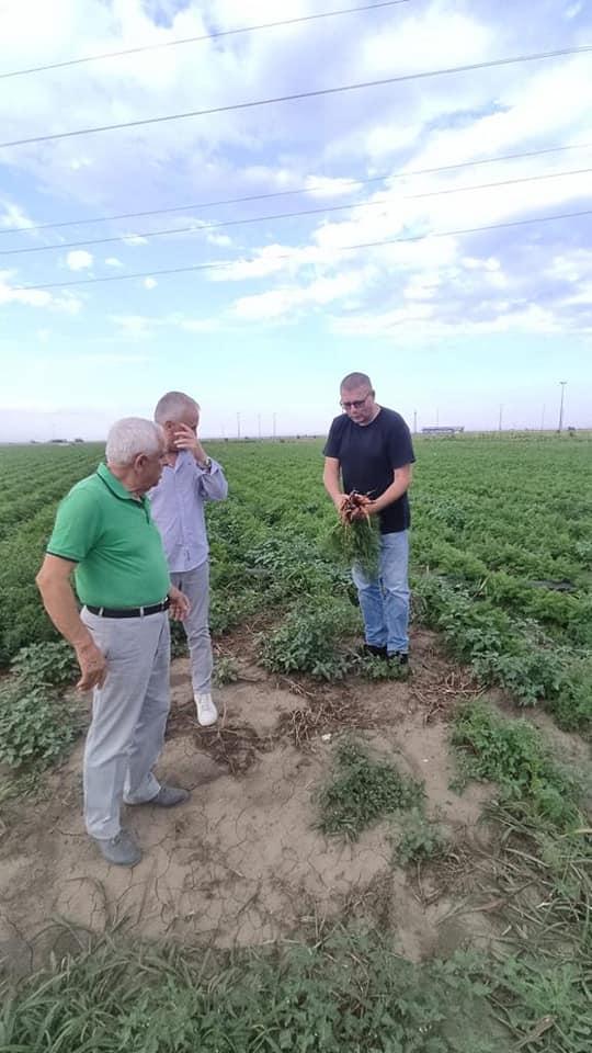 Reţeta de succes a unui fermier din Constanţa. Petre Daea: "Impresionant pentru toţi" 783252