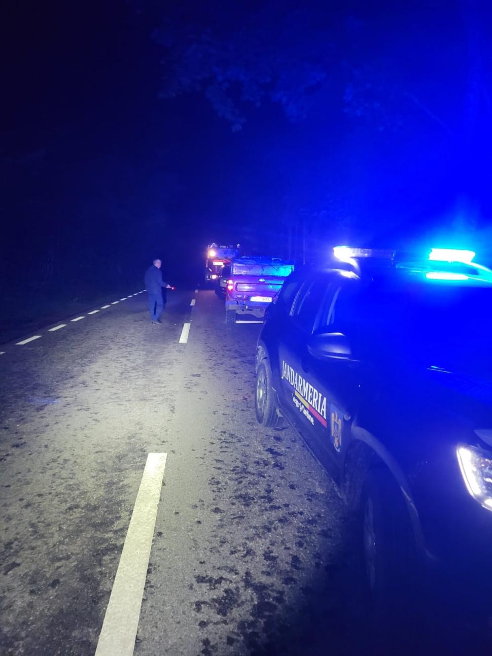 Urs ucis pe loc, la Slănic Moldova, după ce a surprins echipa de intervenție care tocmai tranchiliza un alt exemplar pentru a-l reloca 783102