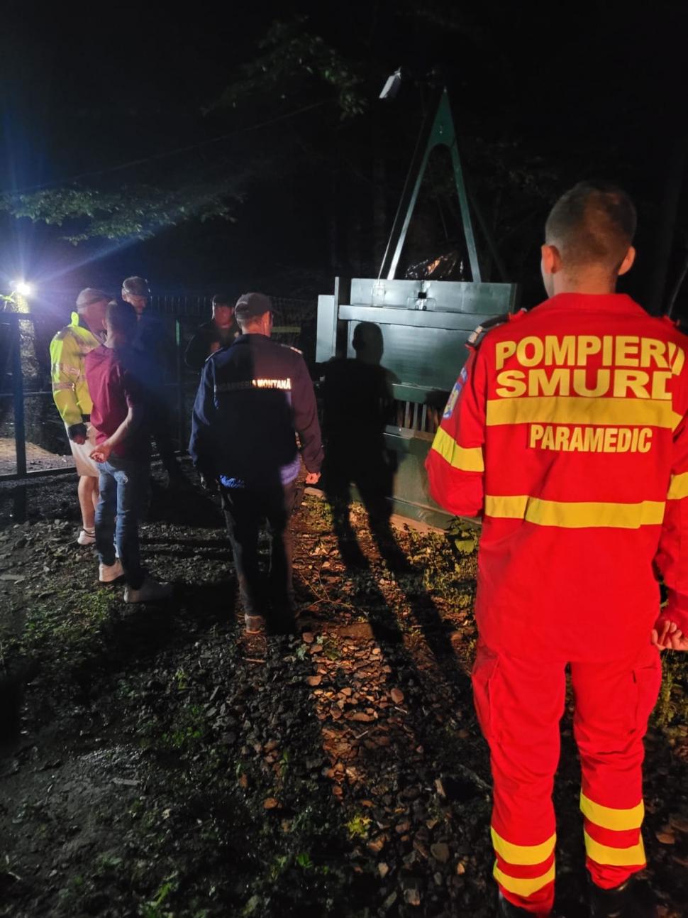 Urs ucis pe loc, la Slănic Moldova, după ce a surprins echipa de intervenție care tocmai tranchiliza un alt exemplar pentru a-l reloca 783104