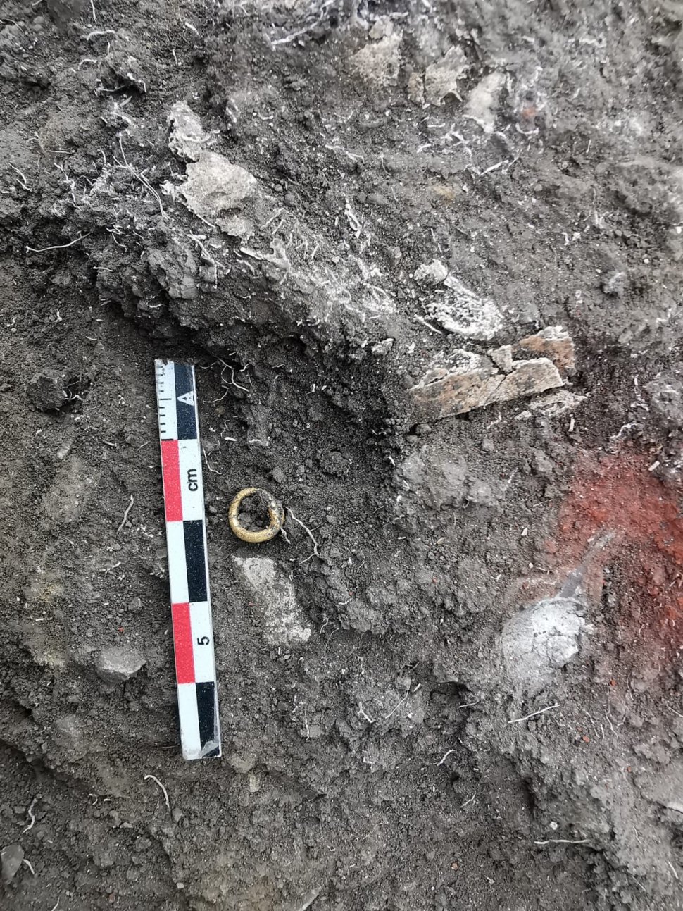 Morminte din epoca bronzului, vechi de 5000 de ani, descoperite lângă Ploiești. Unul dintre ele conține osemintele unui bebeluș și un inel de buclă din aur