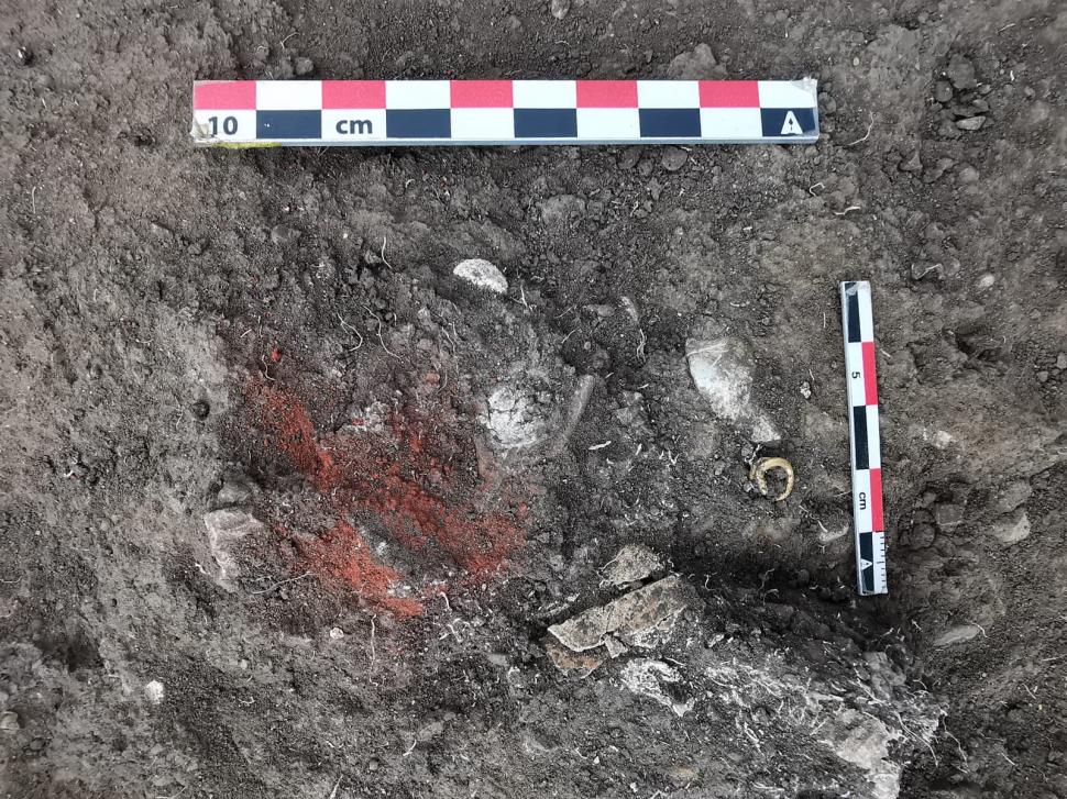 Morminte din epoca bronzului, vechi de 5000 de ani, descoperite lângă Ploiești. Unul dintre ele conține osemintele unui bebeluș și un inel de buclă din aur 783409