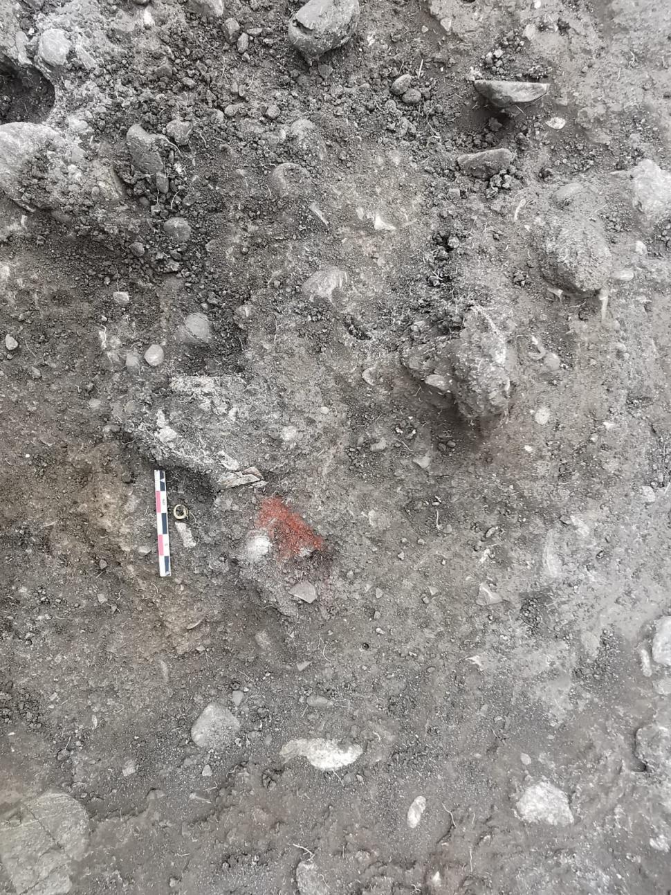 Morminte din epoca bronzului, vechi de 5000 de ani, descoperite lângă Ploiești. Unul dintre ele conține osemintele unui bebeluș și un inel de buclă din aur 783410