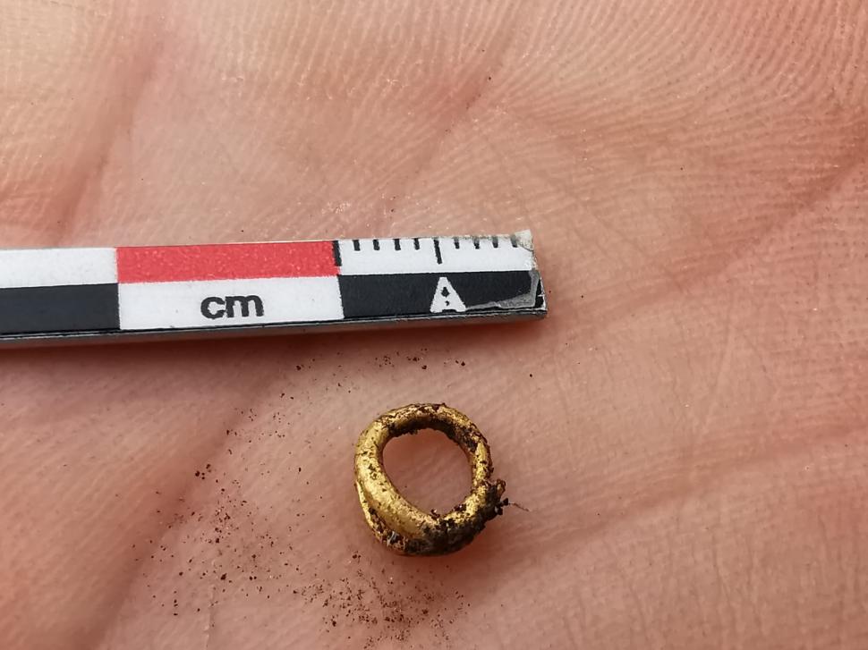 Morminte din epoca bronzului, vechi de 5000 de ani, descoperite lângă Ploiești. Unul dintre ele conține osemintele unui bebeluș și un inel de buclă din aur 783412