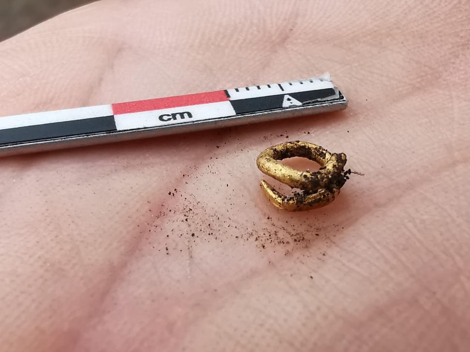 Morminte din epoca bronzului, vechi de 5000 de ani, descoperite lângă Ploiești. Unul dintre ele conține osemintele unui bebeluș și un inel de buclă din aur 783413