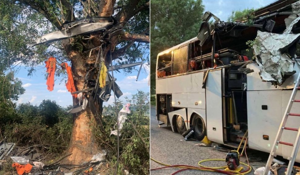 Haine şi bucăţi din autocar au rămas agăţate în copac, după tragedia din Bulgaria | Echipa Antena 3, imagini exclusive de la locul accidentului
