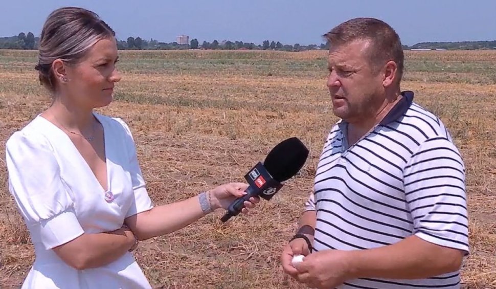 Povestea de succes a fermierului care cultivă numai usturoi românesc la Dărăşti-Ilfov