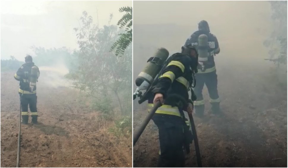 Incendiu puternic de vegetație într-o pădure din județul Brăila. Focul s-a extins pe zeci de hectare