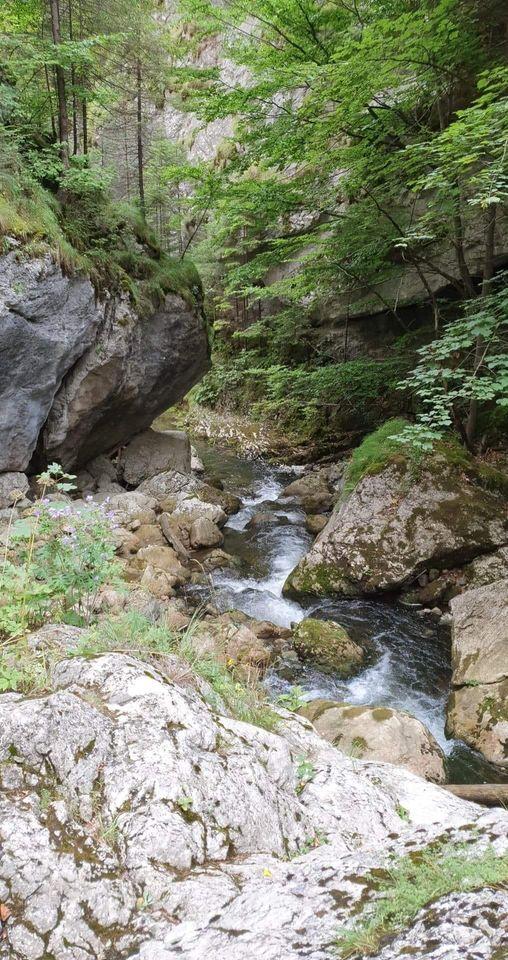 Turist accidentat în Cheile Bicazului, după ce o bucată de stâncă s-a desprins şi a căzut peste el 784236