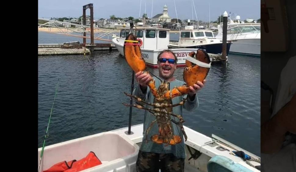 Mărturiile unui bărbat care a supraviețuit după ce a fost înghițit de o balenă | "Simțeam cum animalul mă înghite. Am crezut că o să mor" 784344