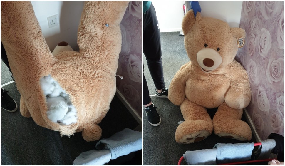 Un hoţ din Anglia s-a ascuns în interiorul unui ursuleț de pluș ca să scape de poliţie: "Au văzut un urs mare care respiră”