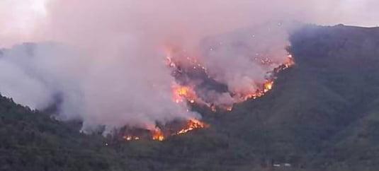 Incendiu în insula Thassos: Sute de pompieri, şase avioane şi şase elicoptere intervin pentru stingerea flăcărilor 784326