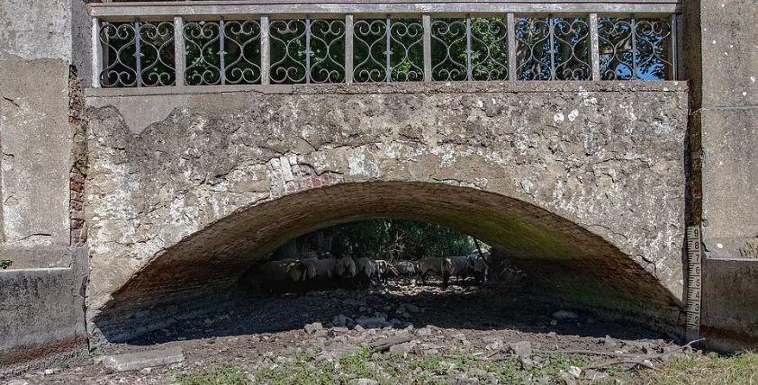 Apă cu rația în magazin, la Londra! Anglia se usucă sub efectele secetei, amplificată de arșiță 784659