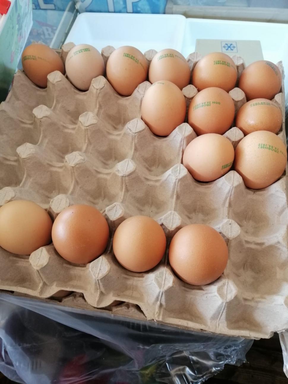 Alimentele care ne ţin oasele sănătoase şi ne fac mai tineri. Dr. Pleşea: "Ele cresc producţia de colagen în mod natural" 784671