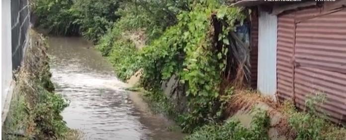 Urgia naturii a făcut prăpăd în Olt după o furtună de cod roşu. Localnicii au primit mesaj Ro-Alert 785006