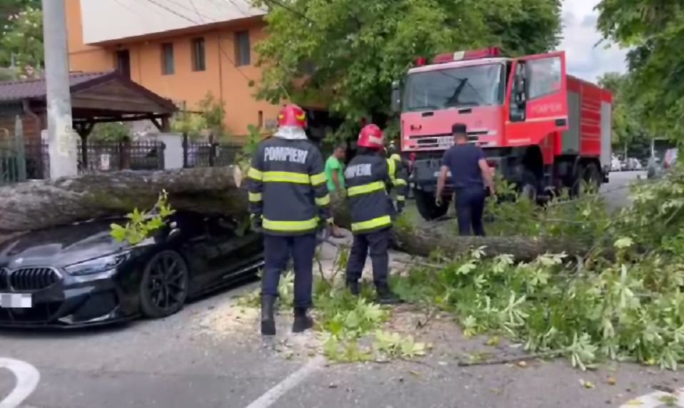Momentul în care o maşină de lux a fost distrusă, în Pitești. Un copac bătrân a căzut peste ea 