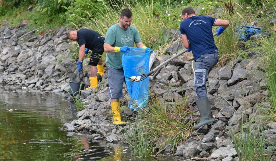 Misterul peștilor morți la granița dintre Germania și Polonia. Ce dezvăluie testele efectuate de un laborator german