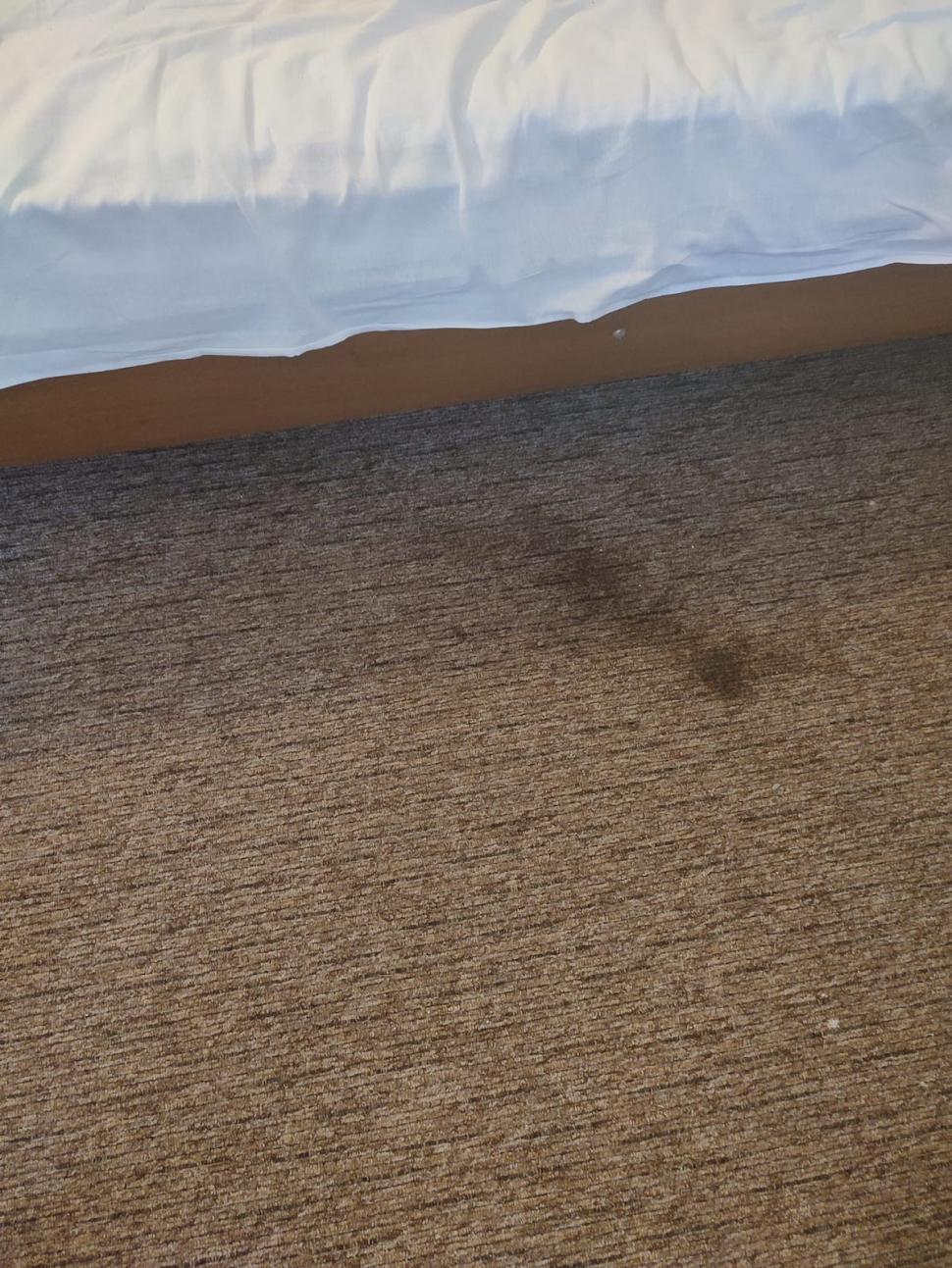 Mizeria de nedescris găsită de o familie într-un hotel dintr-o stațiune de pe litoral | ”Cameristele duc gunoiul când își aduc aminte” 785273