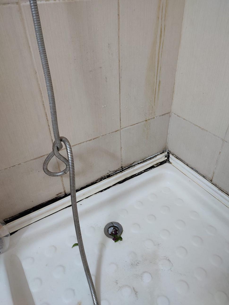 Mizeria de nedescris găsită de o familie într-un hotel dintr-o stațiune de pe litoral | ”Cameristele duc gunoiul când își aduc aminte” 785276