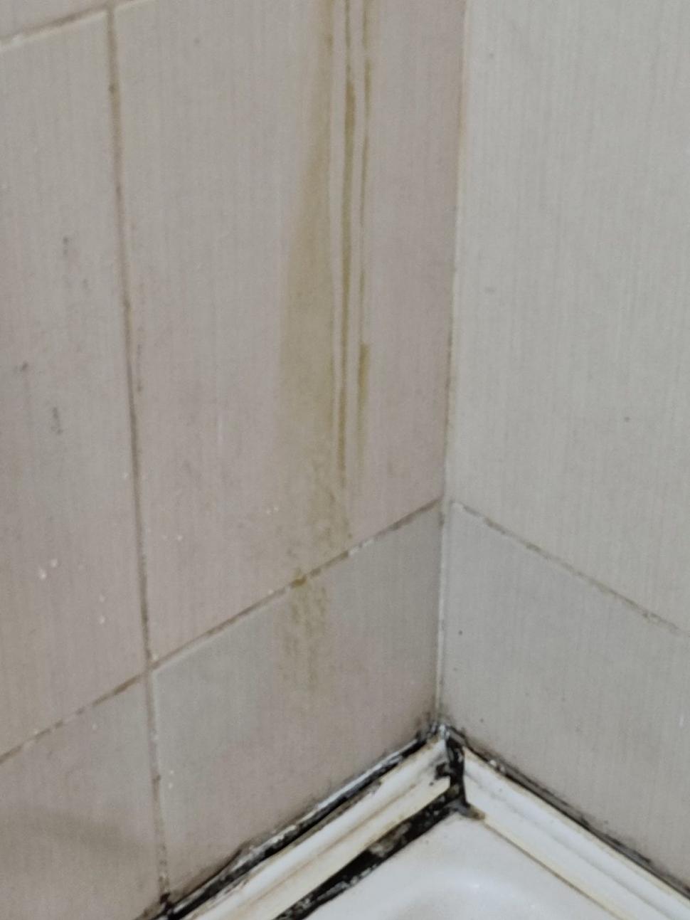 Mizeria de nedescris găsită de o familie într-un hotel dintr-o stațiune de pe litoral | ”Cameristele duc gunoiul când își aduc aminte” 785277