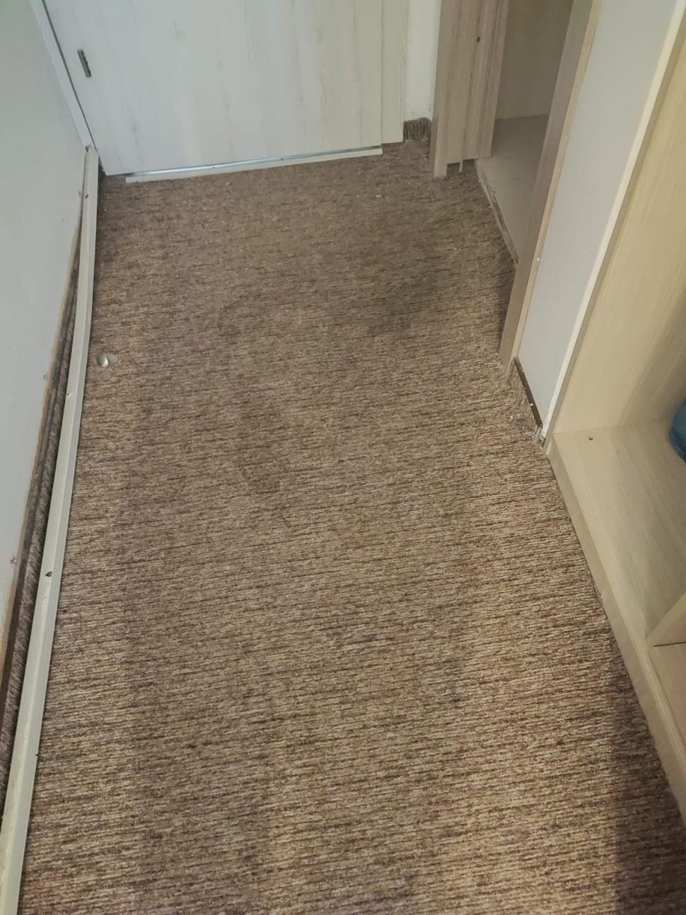 Mizeria de nedescris găsită de o familie într-un hotel dintr-o stațiune de pe litoral | ”Cameristele duc gunoiul când își aduc aminte” 785279