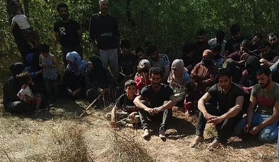 Maria, o fetiță de cinci ani, a fost înțepată de un scorpion și a murit pe o insulă, ignorată de autorități, în Grecia 785448