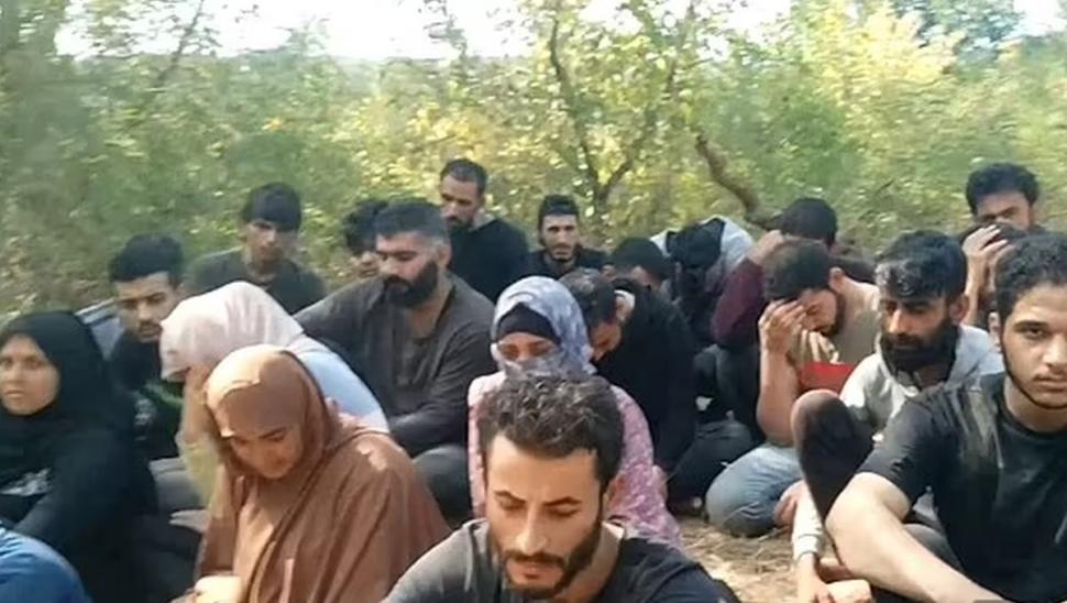 Maria, o fetiță de cinci ani, a fost înțepată de un scorpion și a murit pe o insulă, ignorată de autorități, în Grecia 785449