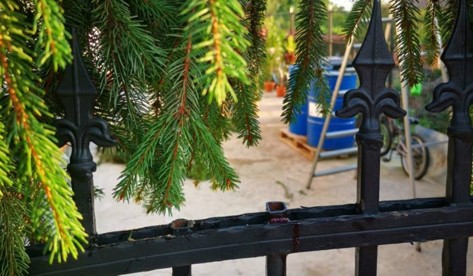 Ghinion teribil pentru un viitor mire din Vâlcea. A ajuns la spital cu hemoragie masivă după o greșeală banală în timp ce se pregătea de nuntă 785738