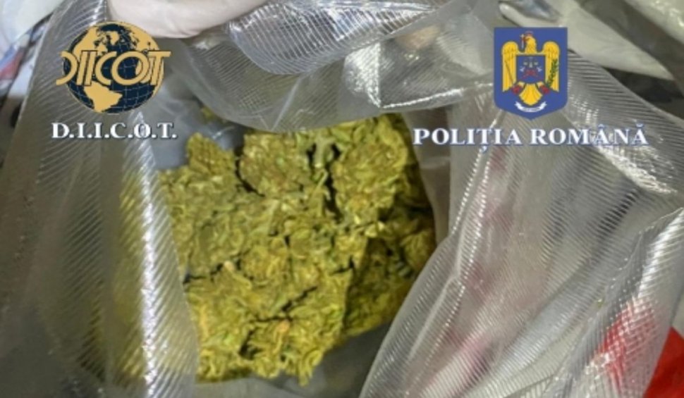 Cantităţi uriaşe de droguri găsite în rulote şi corturile montate la un festival din Harghita