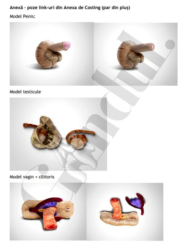 USR a propus alocarea în PNRR a 240.000€ pentru modele de penisuri şi vagine 785875