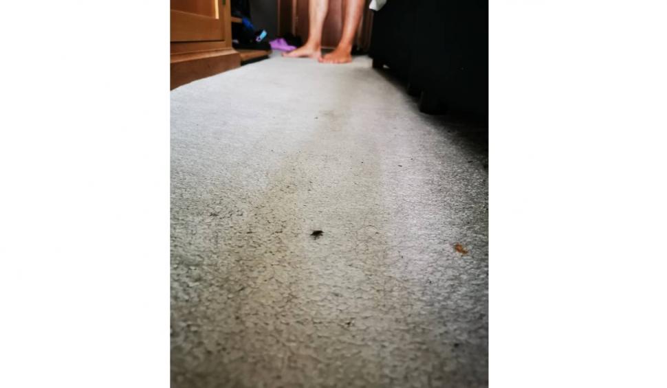 Vacanță de coșmar pentru o româncă în Bulgaria: ”Am vrut să anunț și muritorii de rând. Am fost furați” 785911