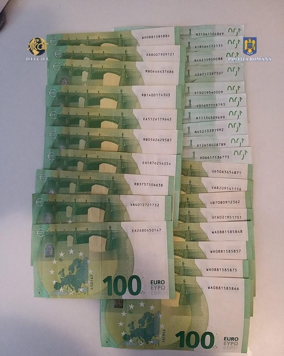 Canabis cultivat în sere, pe o suprafaţă de 60.000 de metri pătraţi, într-o zonă din munţi, în Bihor 786531