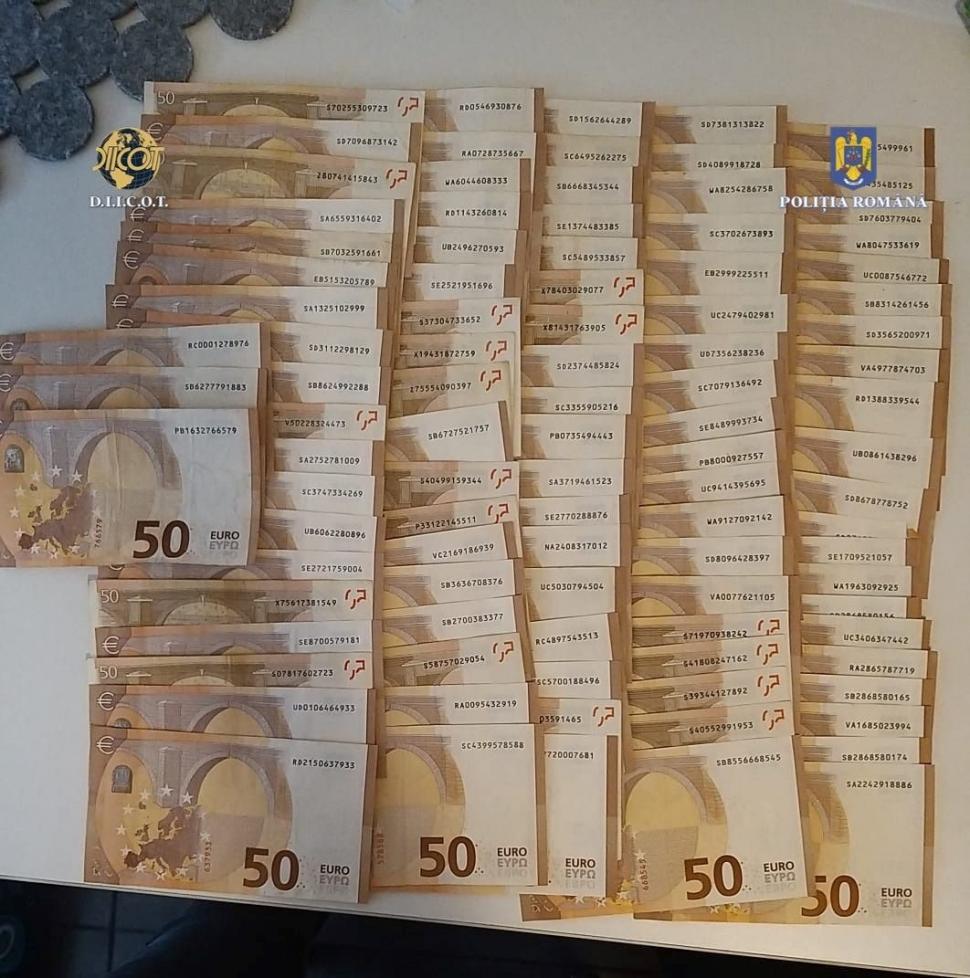 Canabis cultivat în sere, pe o suprafaţă de 60.000 de metri pătraţi, într-o zonă din munţi, în Bihor 786532