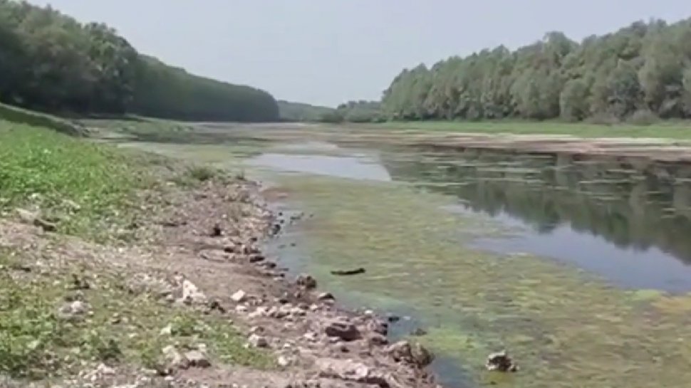 Dunărea secată poate fi traversată pe jos la Oltina, în Constanţa | Transportul fluvial este paralizat