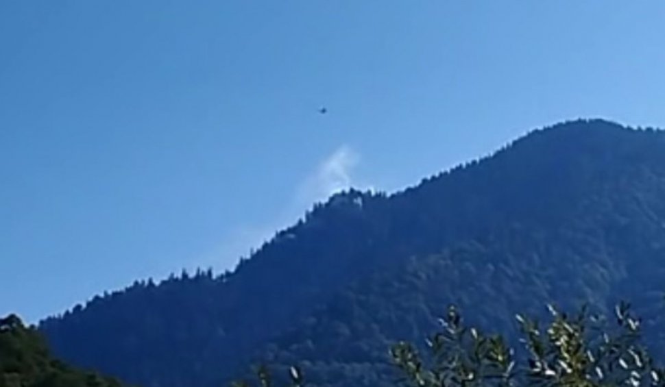 Incendiu într-o pădure din munţii Maramureşului | Un avion militar intervine pentru a stinge flăcările