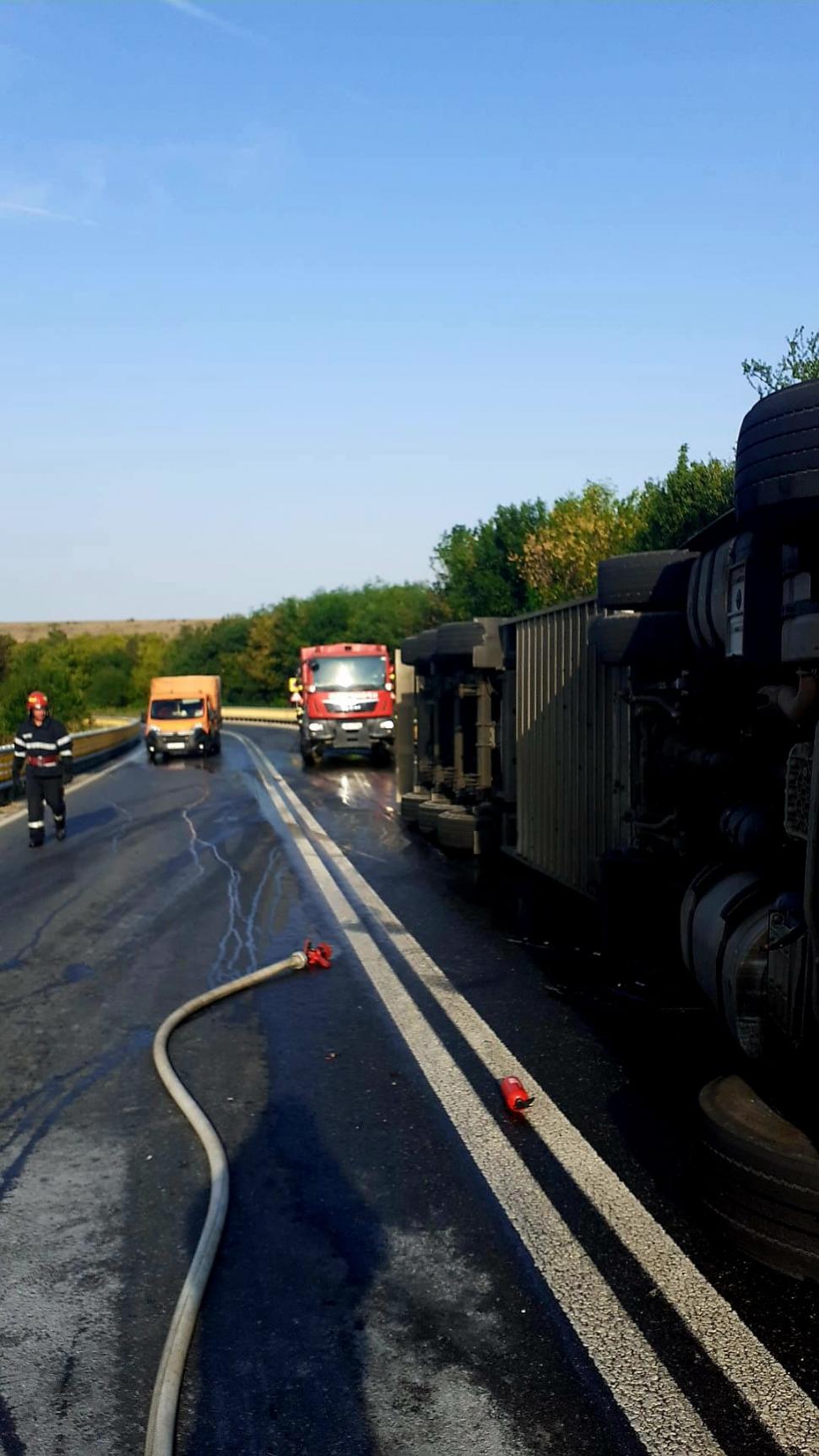 Un TIR încărcat cu 650 de porci s-a răsturnat pe o șosea din Giurgiu 787702