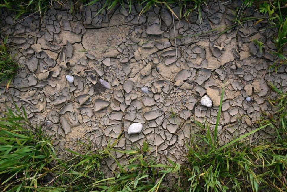 Secetă în România. Suprafaţa agricolă calamitată a depăşit 462.000 de hectare