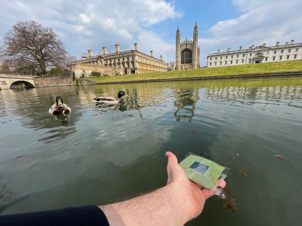 Un român de la Cambridge a inventat frunze artificiale care produc combustibil din apă și lumină 788029