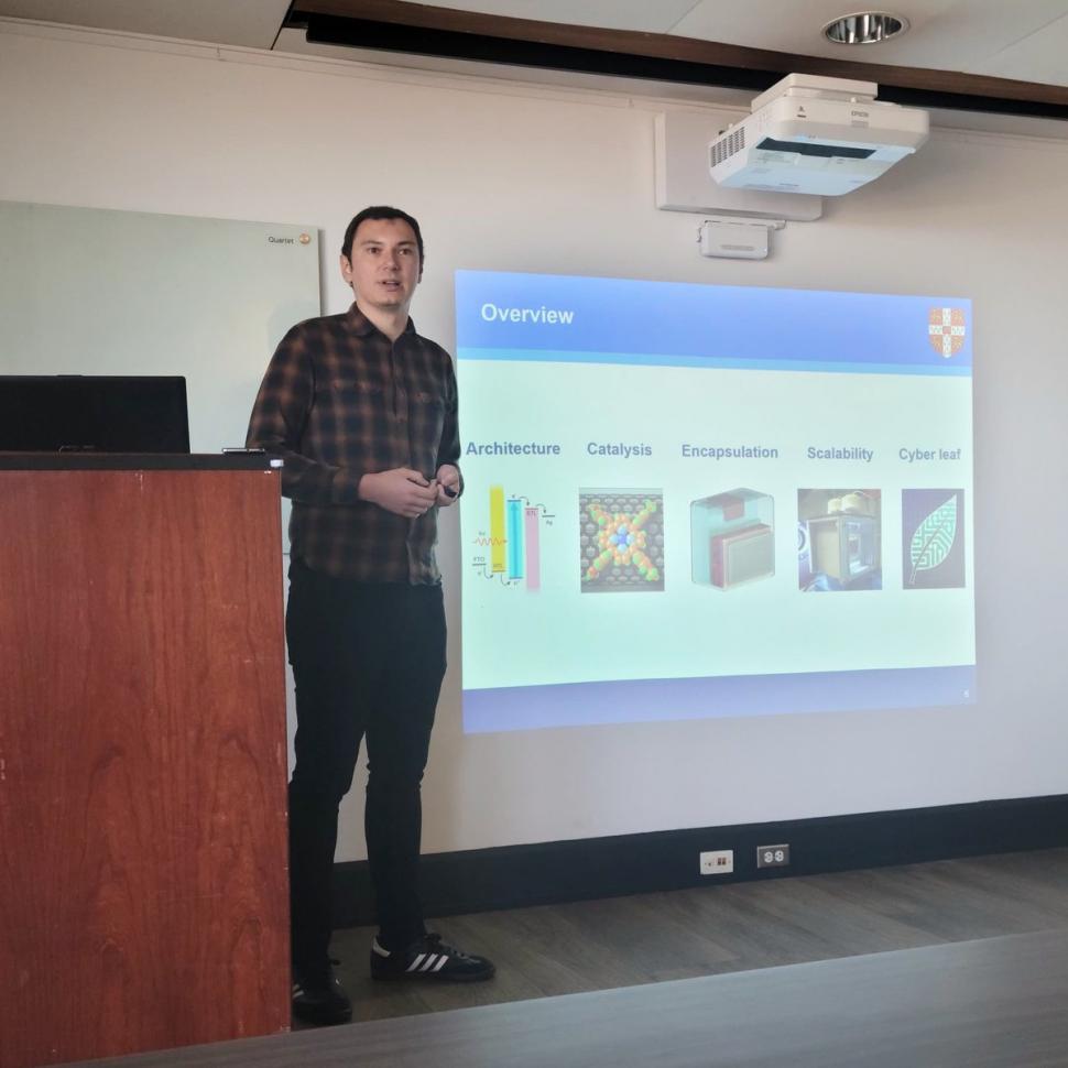 Un român de la Cambridge a inventat frunze artificiale care produc combustibil din apă și lumină 788031