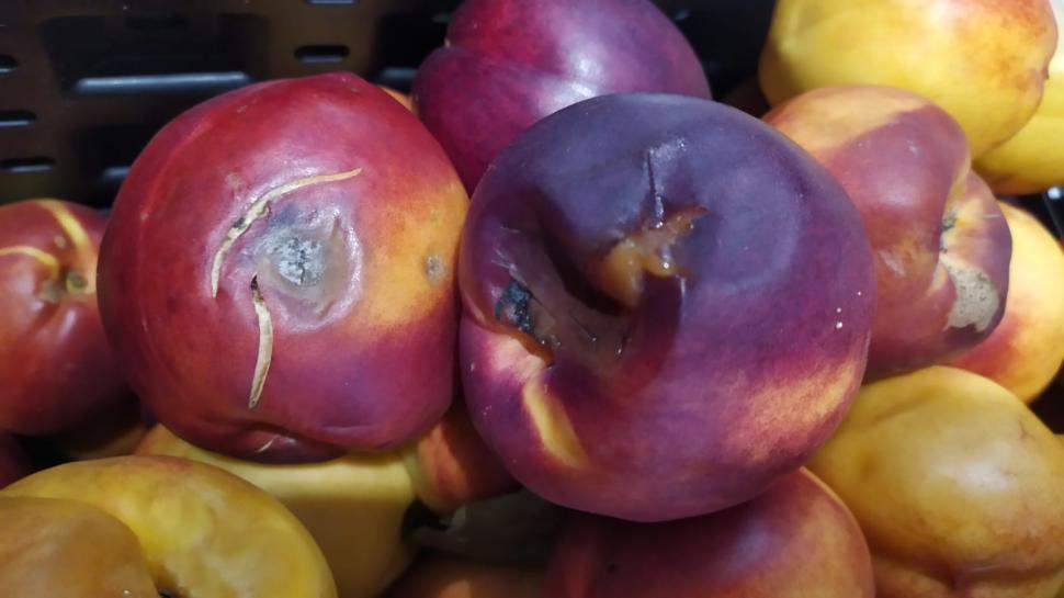 Mizerie, mâncare mucegăită și gândaci, la un cunoscut lanț de supermarketuri din România. ANPC a dat amenzi de 3,5 milioane de lei 788190