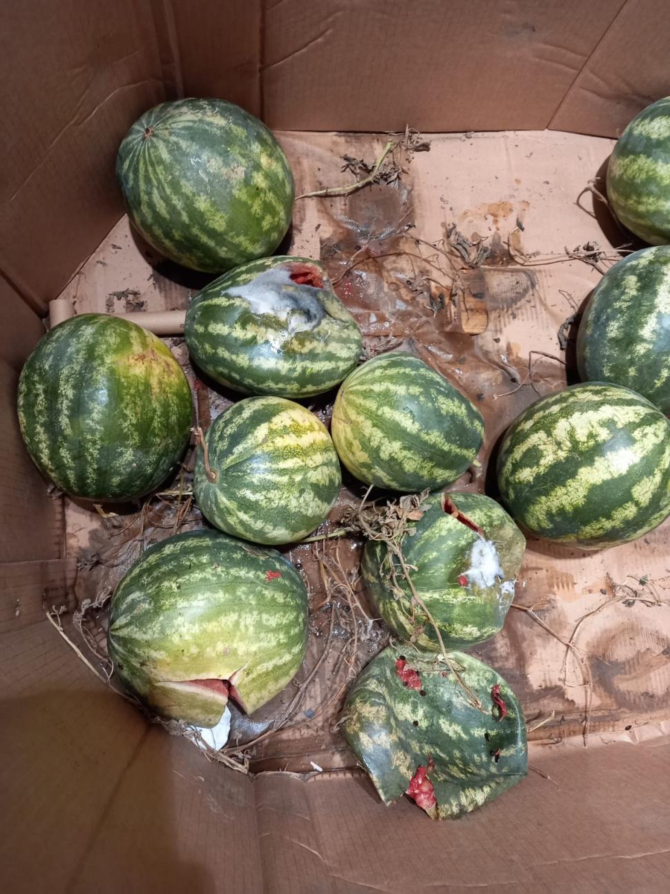 Mizerie, mâncare mucegăită și gândaci, la un cunoscut lanț de supermarketuri din România. ANPC a dat amenzi de 3,5 milioane de lei 788193