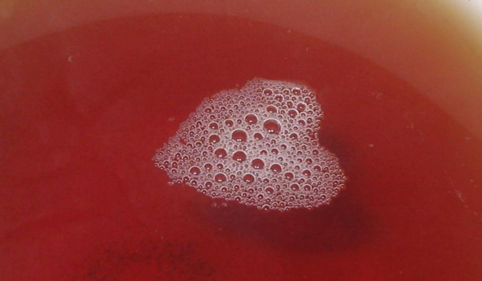 Băutura care prelungeşte viaţa şi protejează inima. Se beau 3-5 ceşti pe zi | Medic: "E un progres substanţial în domeniu" 788299