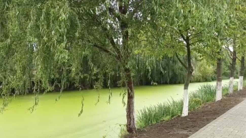 Fenomen ciudat lângă București. Râul Pasărea și-a schimbat total culoarea 788241