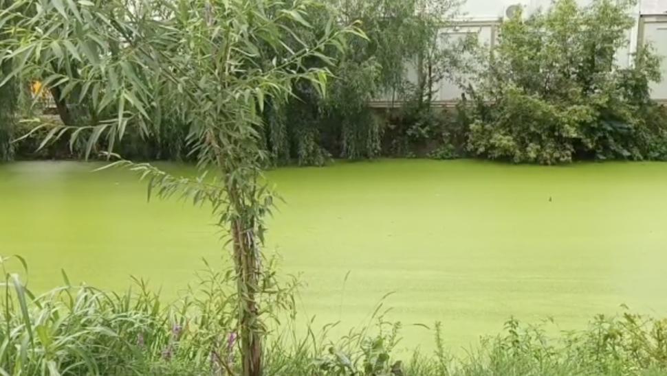 Fenomen ciudat lângă București. Râul Pasărea și-a schimbat total culoarea 788242