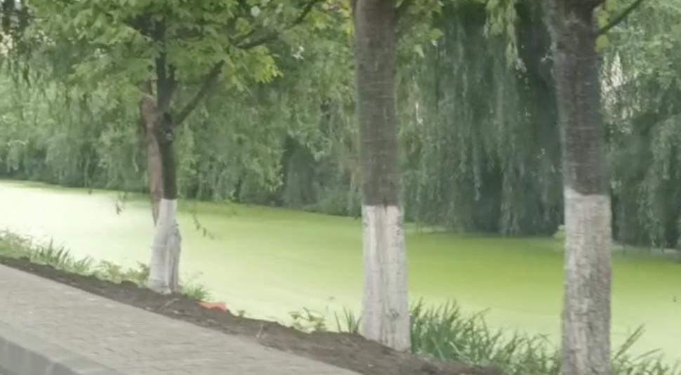 Fenomen ciudat lângă București. Râul Pasărea și-a schimbat total culoarea 788243