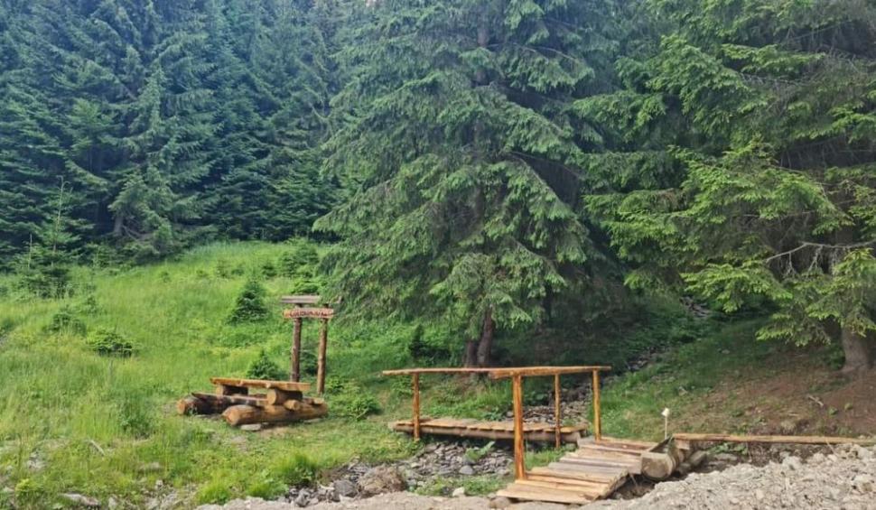 Drumul spre Muntele Căsaru, cel mai nou traseu turistic din zona Tihuța-Colibița. Cum arată punctul de odihnă de la 1.200 de m altitudine 789208