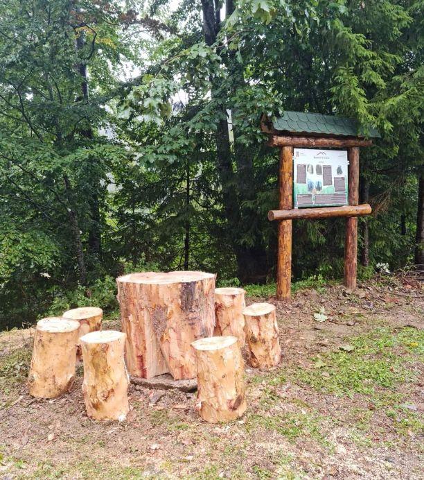 Drumul spre Muntele Căsaru, cel mai nou traseu turistic din zona Tihuța-Colibița. Cum arată punctul de odihnă de la 1.200 de m altitudine 789209