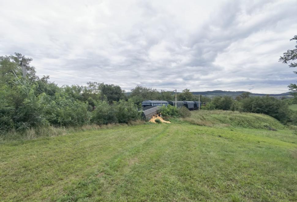 Două vagoane dintr-un tren cu cereale din Ucraina au deraiat și s-au răsturnat în Mureş. Anunţul CFR 789349