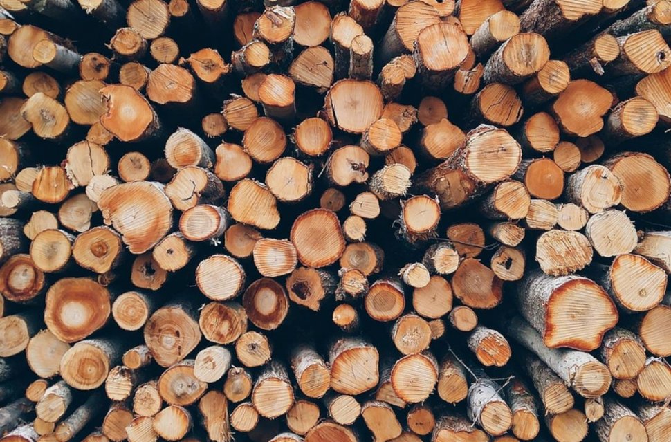 Prețul lemnului folosit pentru încălzire se plafonează | Anunţul ministrului Mediului