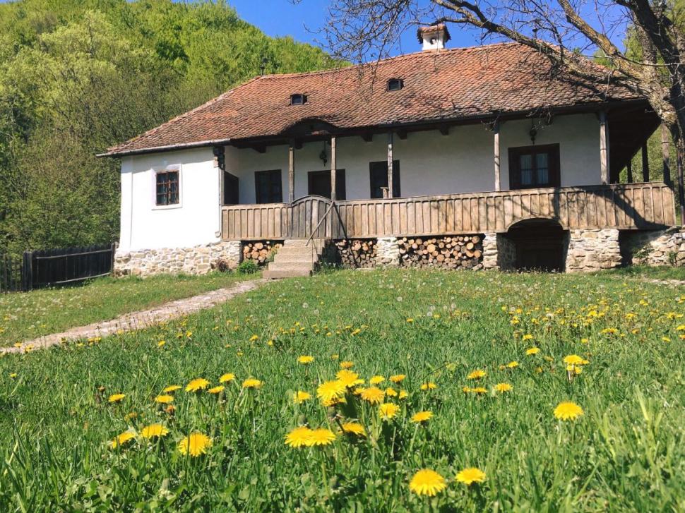 Proprietăţile impresionante deţinute de Prinţul Charles al III-lea. Cum arată casele pe care le are din Regatul Unit până în Transilvania 789857