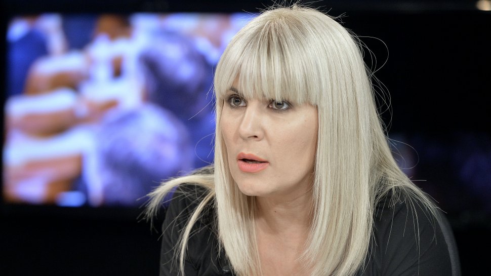 Elena Udrea atacă la CCR legile prin care i-au fost confiscaţi 4,7 milioane euro